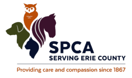 SPCA Serving Erie County, NY