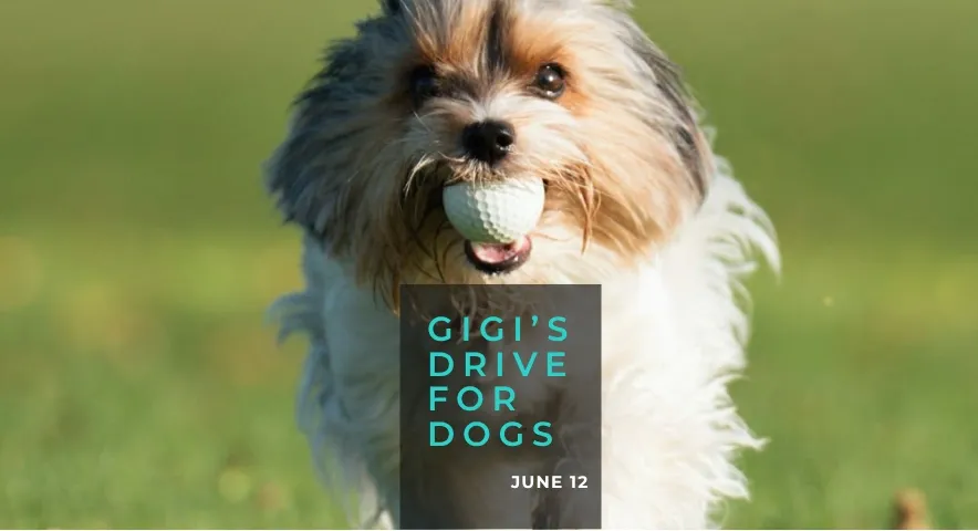 Gigi's Rescue