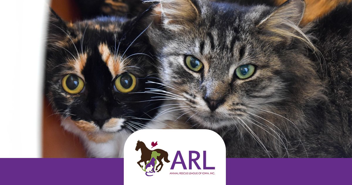 ARL Animal Rescue League of Iowa
