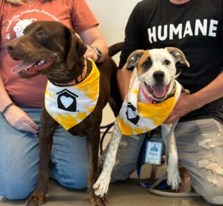 Nashville Humane Association