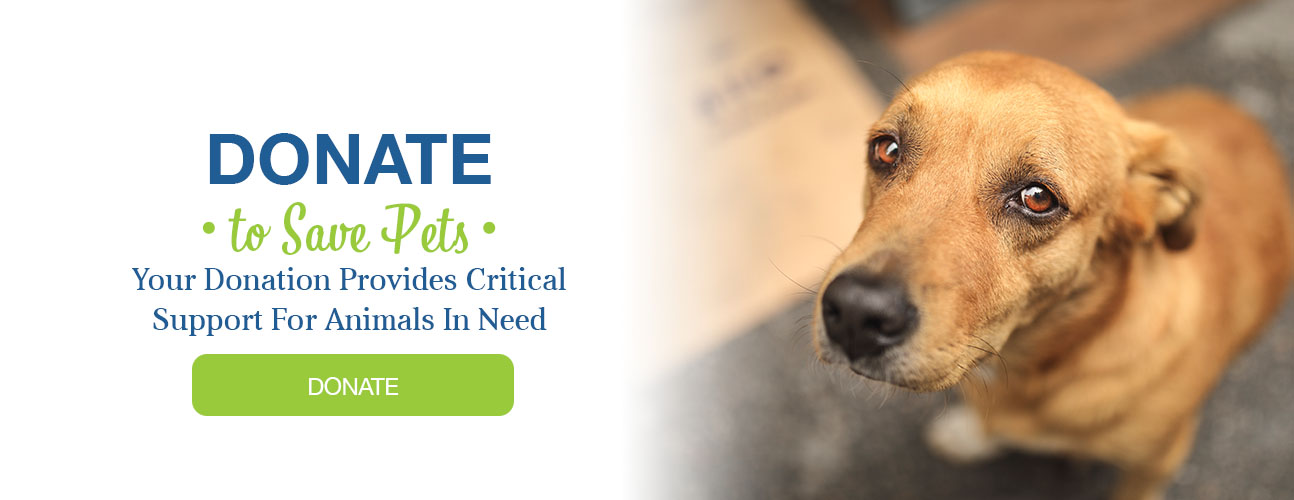 Central California SPCA
