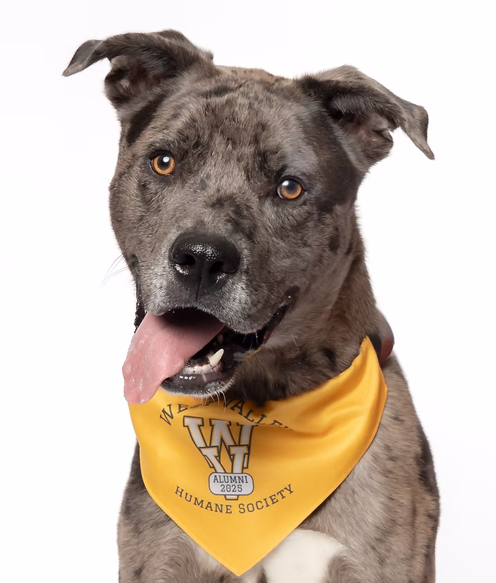 West Valley Humane Society