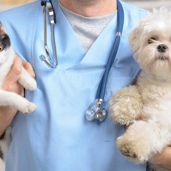 Kentucky Humane Society Sam Swope Pet TLC