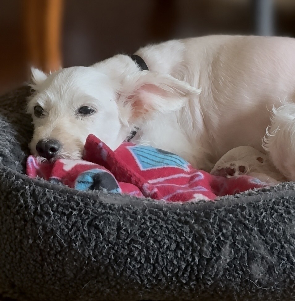 Cincinnati Animal CARE Colerain Campus - Hamilton County Animal Shelter