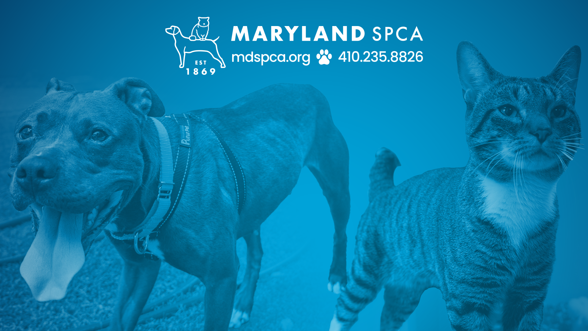 Maryland SPCA