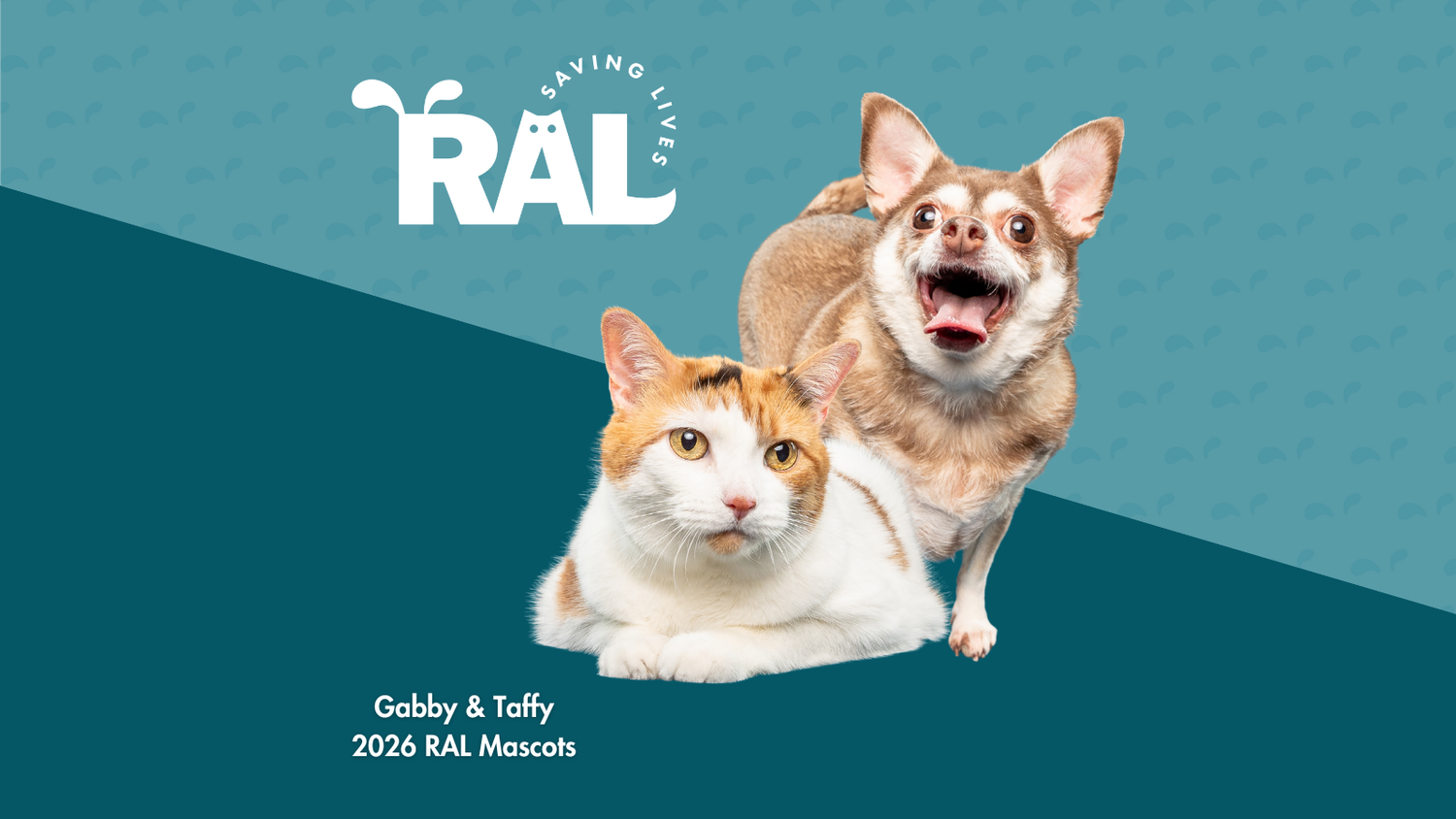 Richmond Animal League