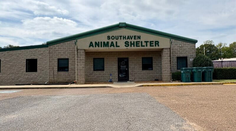 Desoto County Animal Control