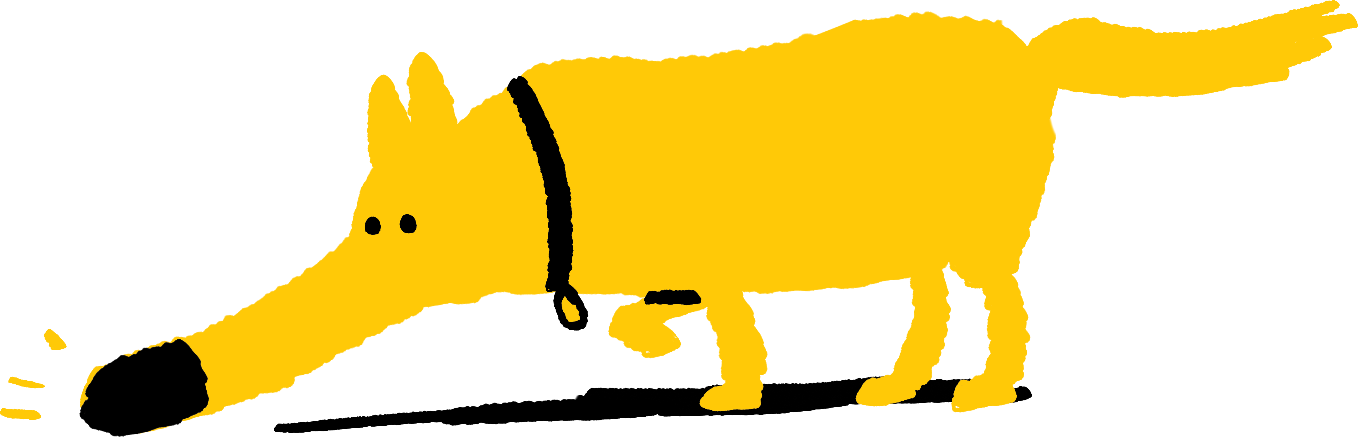 Dogs Trust Manchester