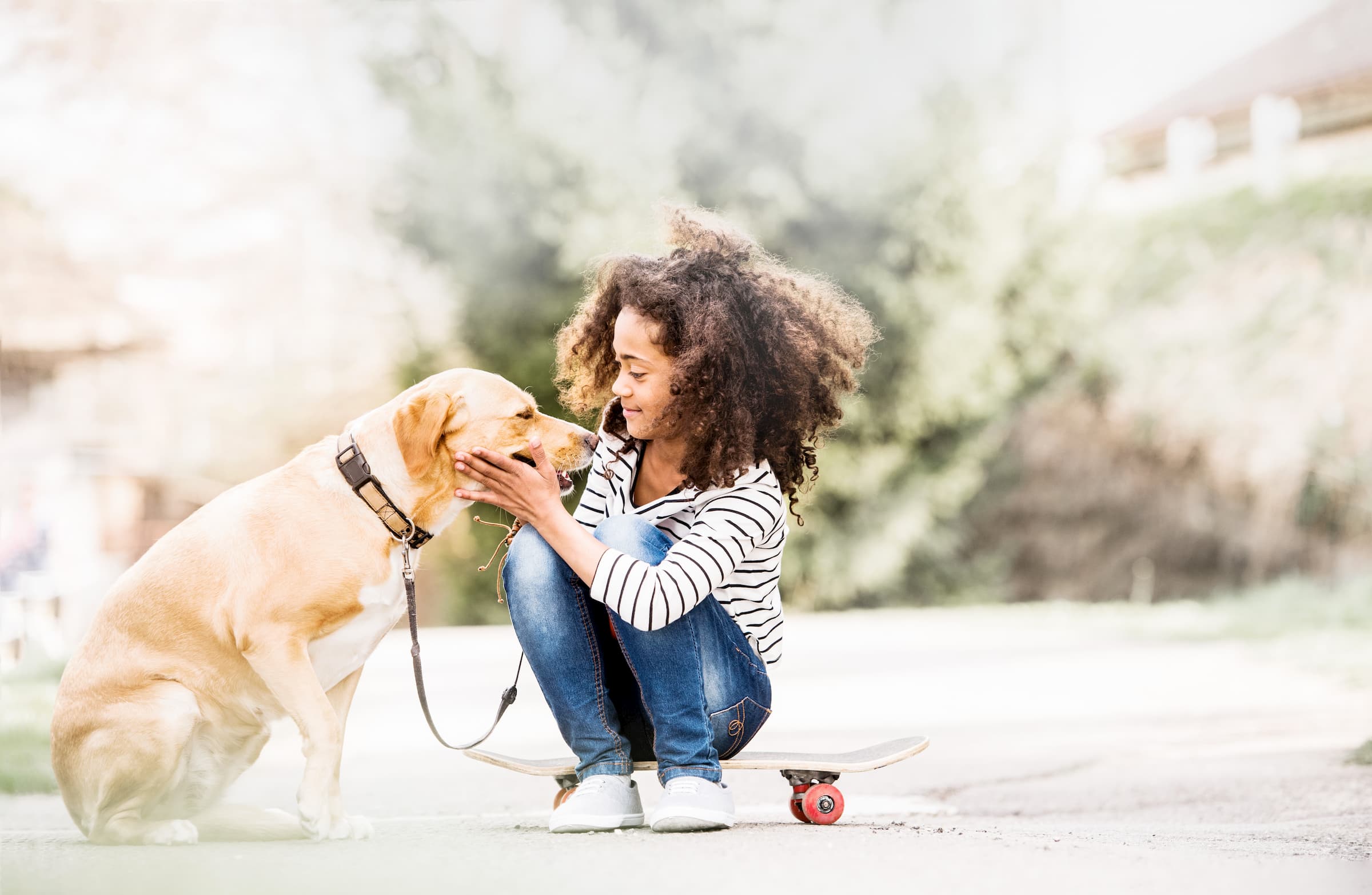 The Humane Society of Tampa Bay