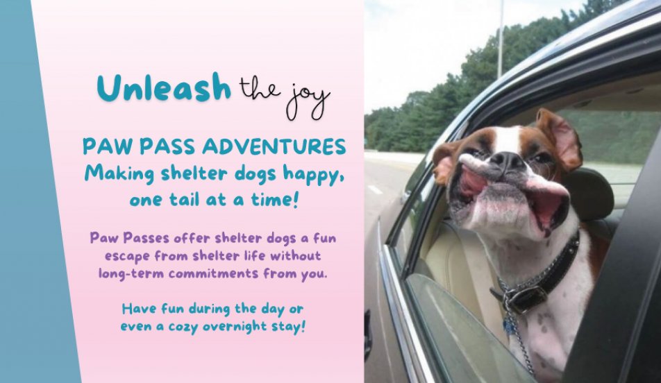 SPCA Cincinnati